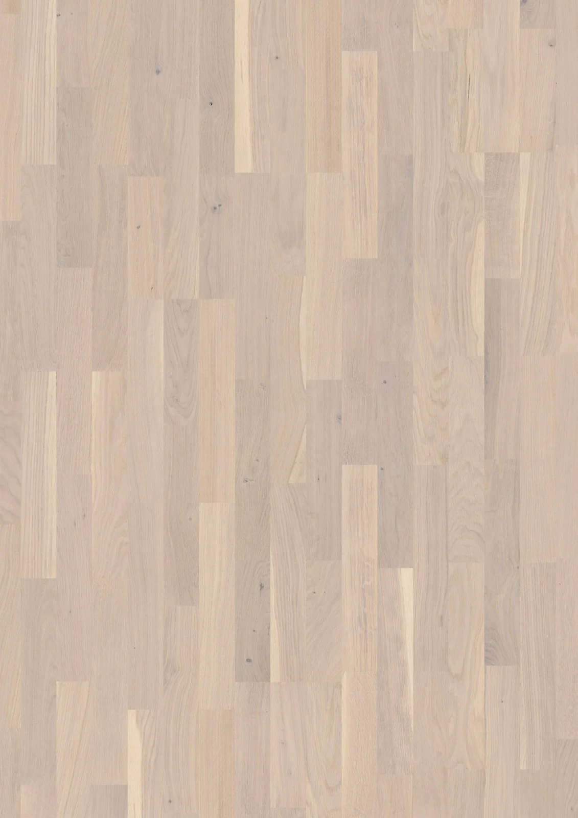 Oak Pearl Finale, 14mm 3-Strip