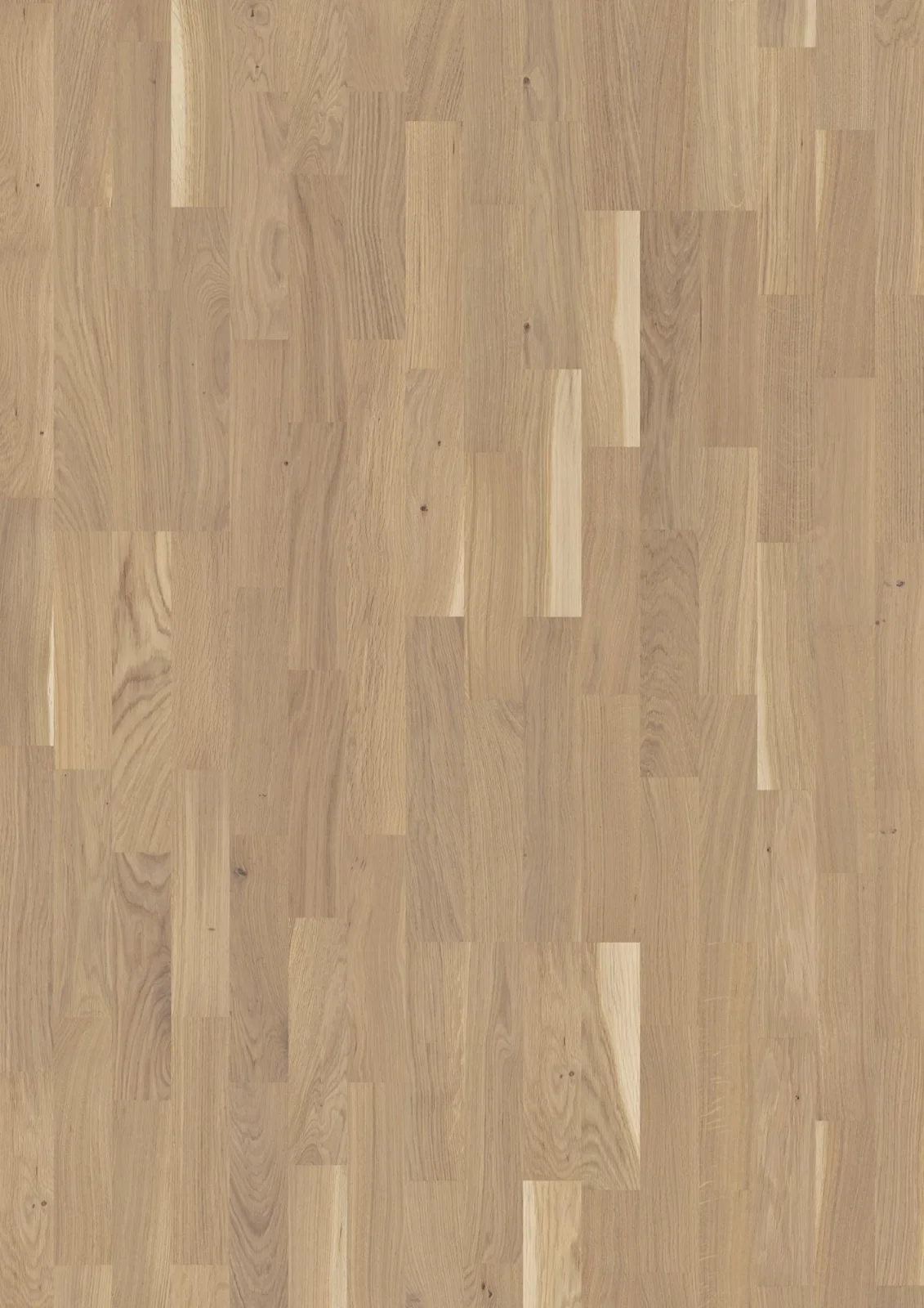Oak Finale, Live Pure, 14mm 3-Strip