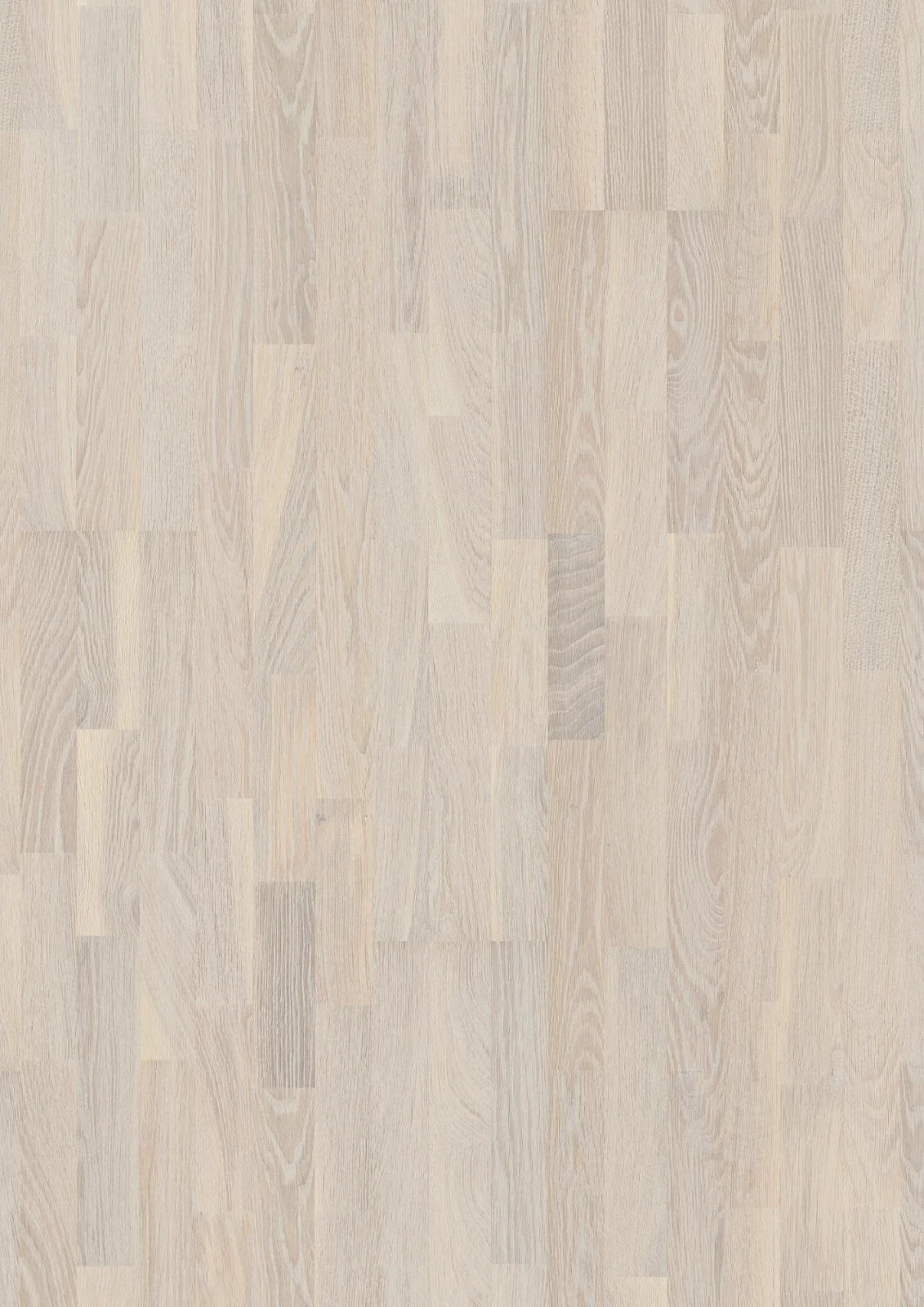 Oak White Concerto, Live Pure, 14mm 3-Strip