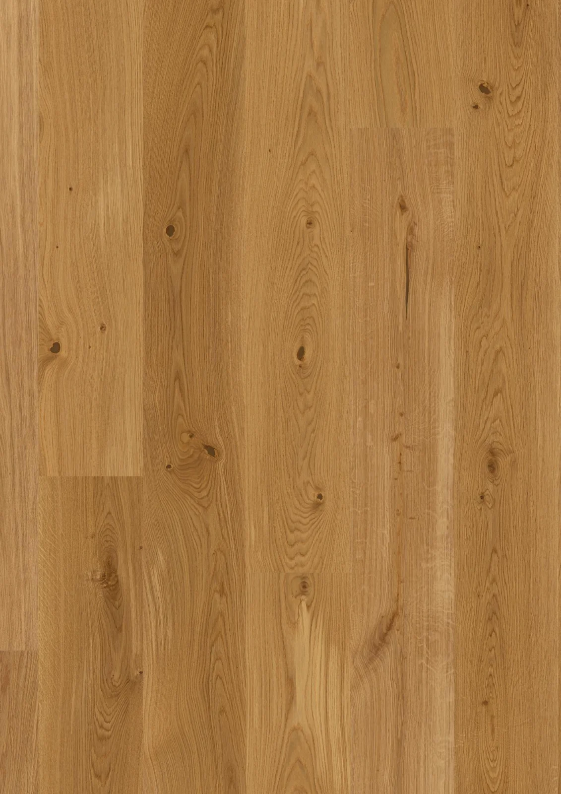 Oak Animoso, 14mm Castle Plank