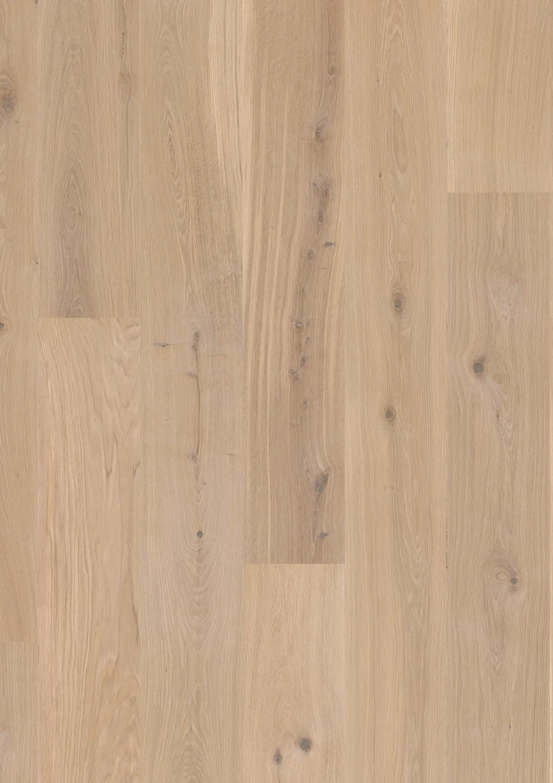 Oak White Animoso, 14mm Castle Plank