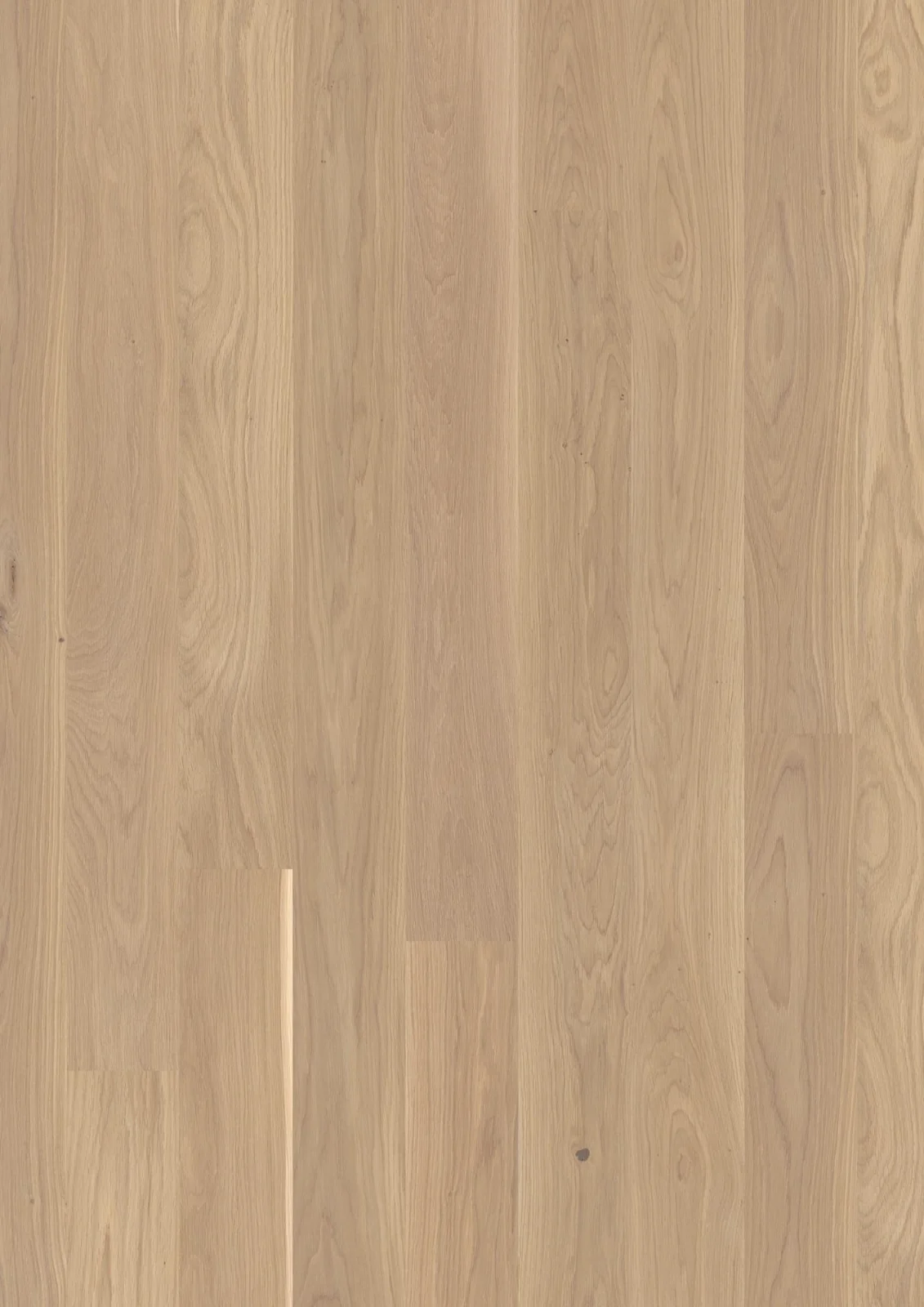Oak White Andante, 14mm Plank 138