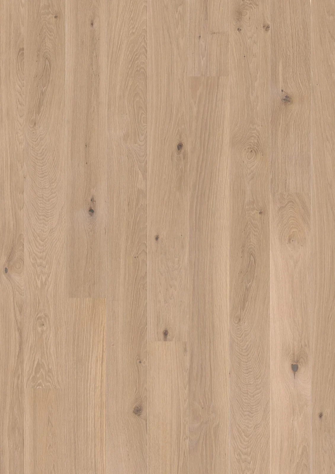 Oak White Animoso, 14mm Plank 138