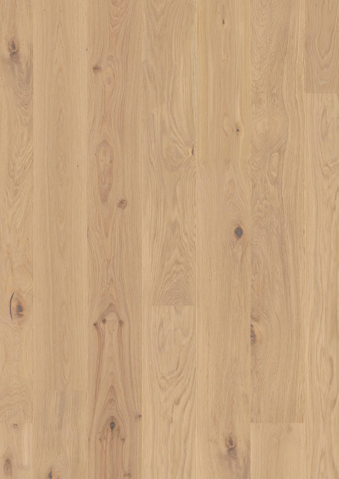 Oak Animoso, Live Pure, 14mm Plank 181