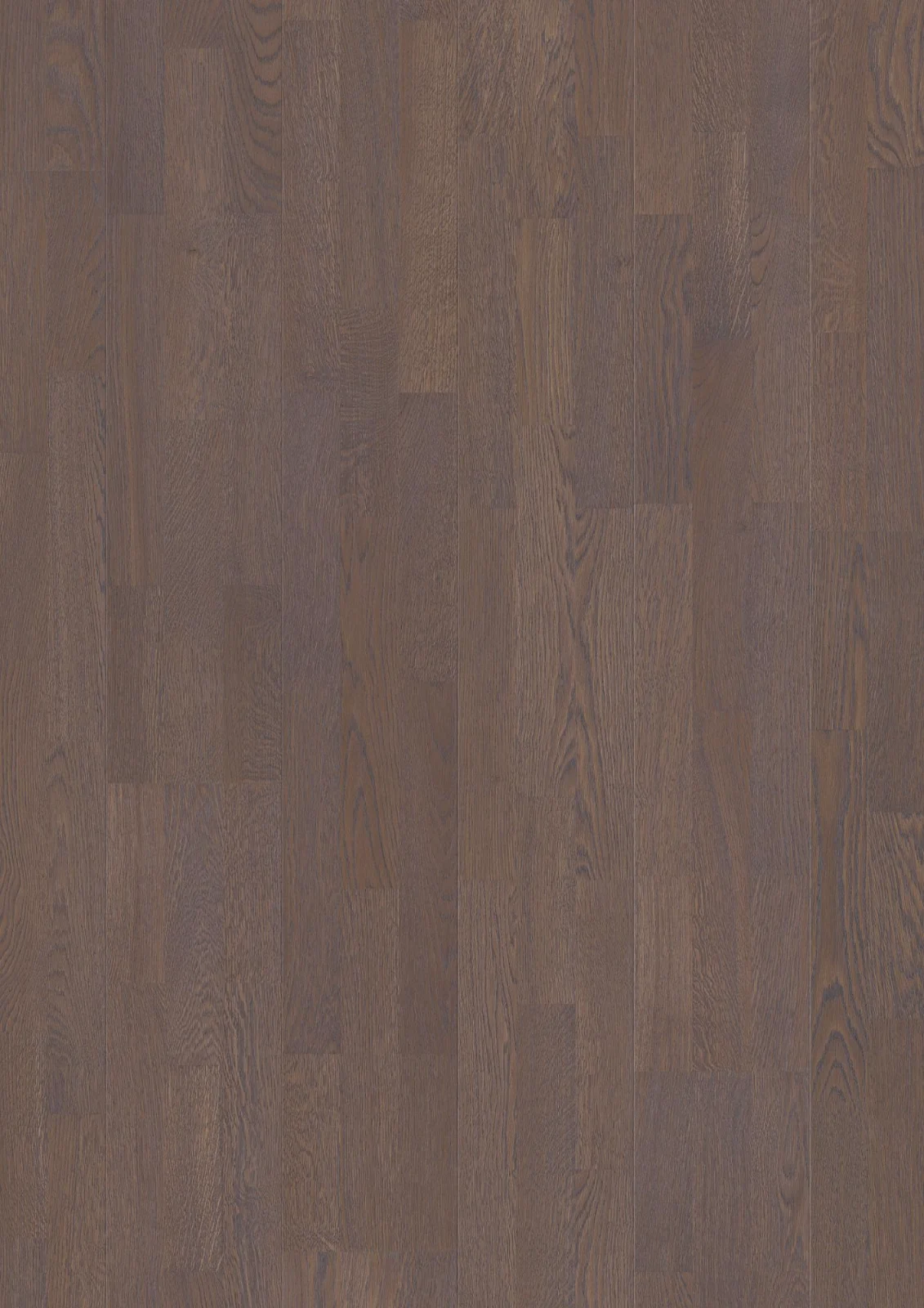 Oak Elephant Grey Finale, 14mm 3-Strip