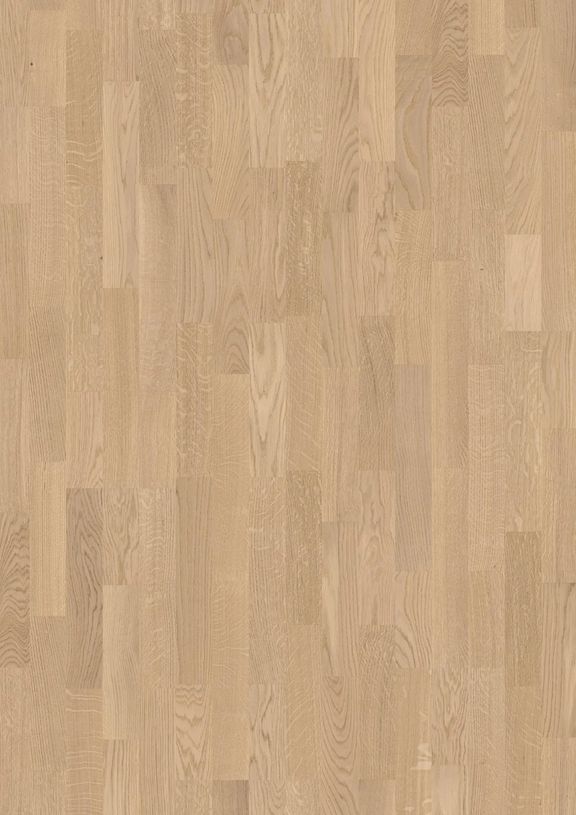 Oak White Andante, 14mm 3-Strip