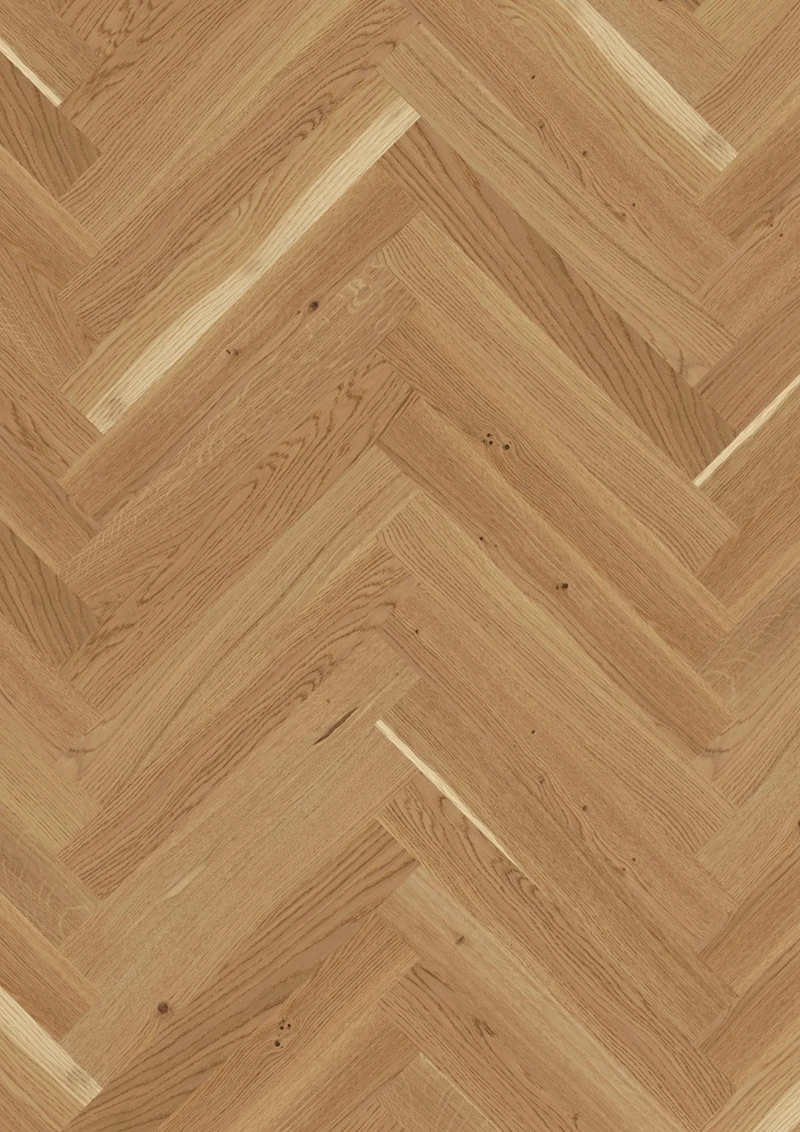 Oak Basic, Prestige