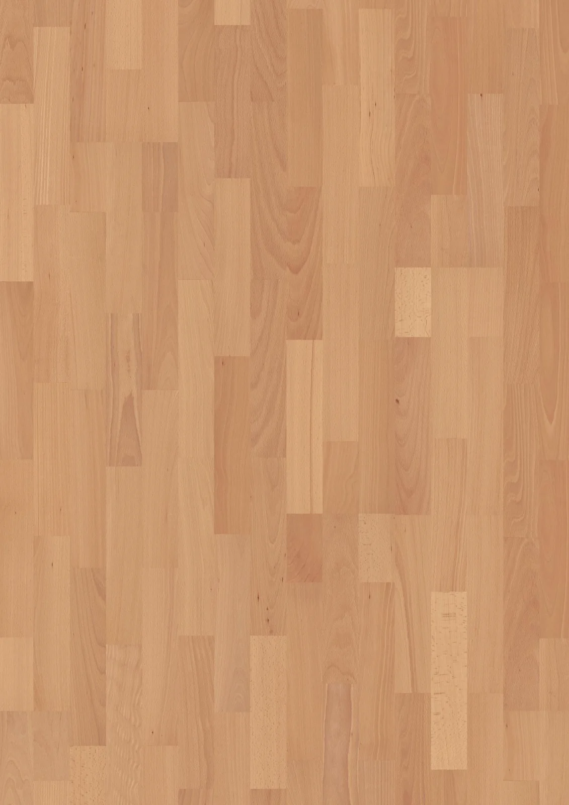 Beech Andante, 14mm 3-Strip