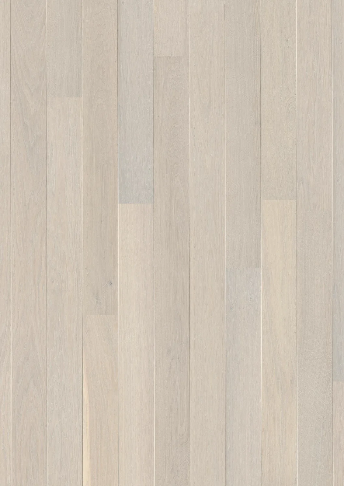 Oak White Andante, Live Pure, 13.2mm Plank 181
