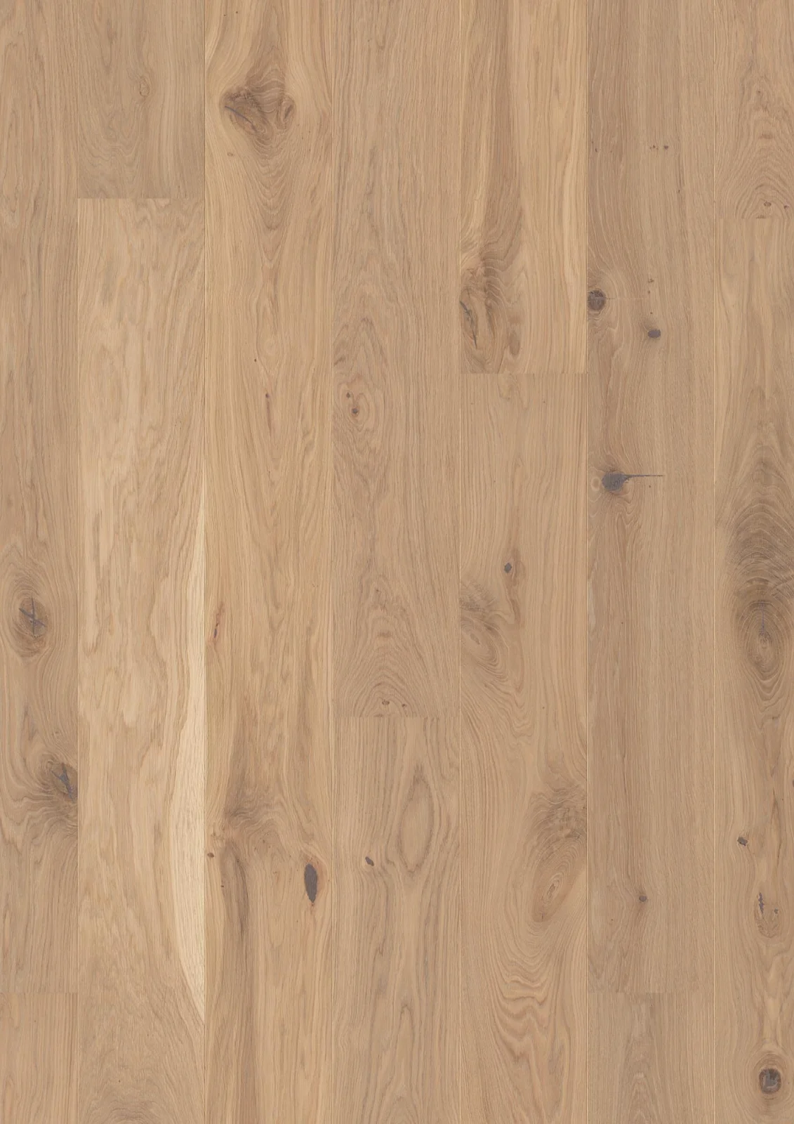Oak Vivo, Live Pure, 13.2mm Plank 181