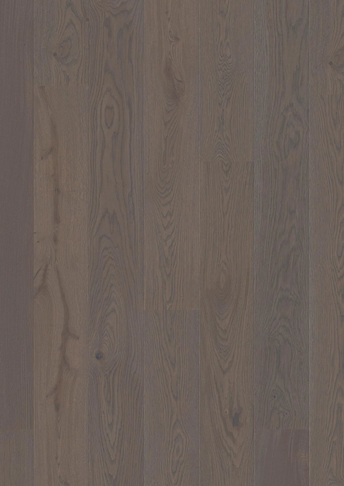 Oak Grey Pepper Animoso, 13.2mm Plank 181