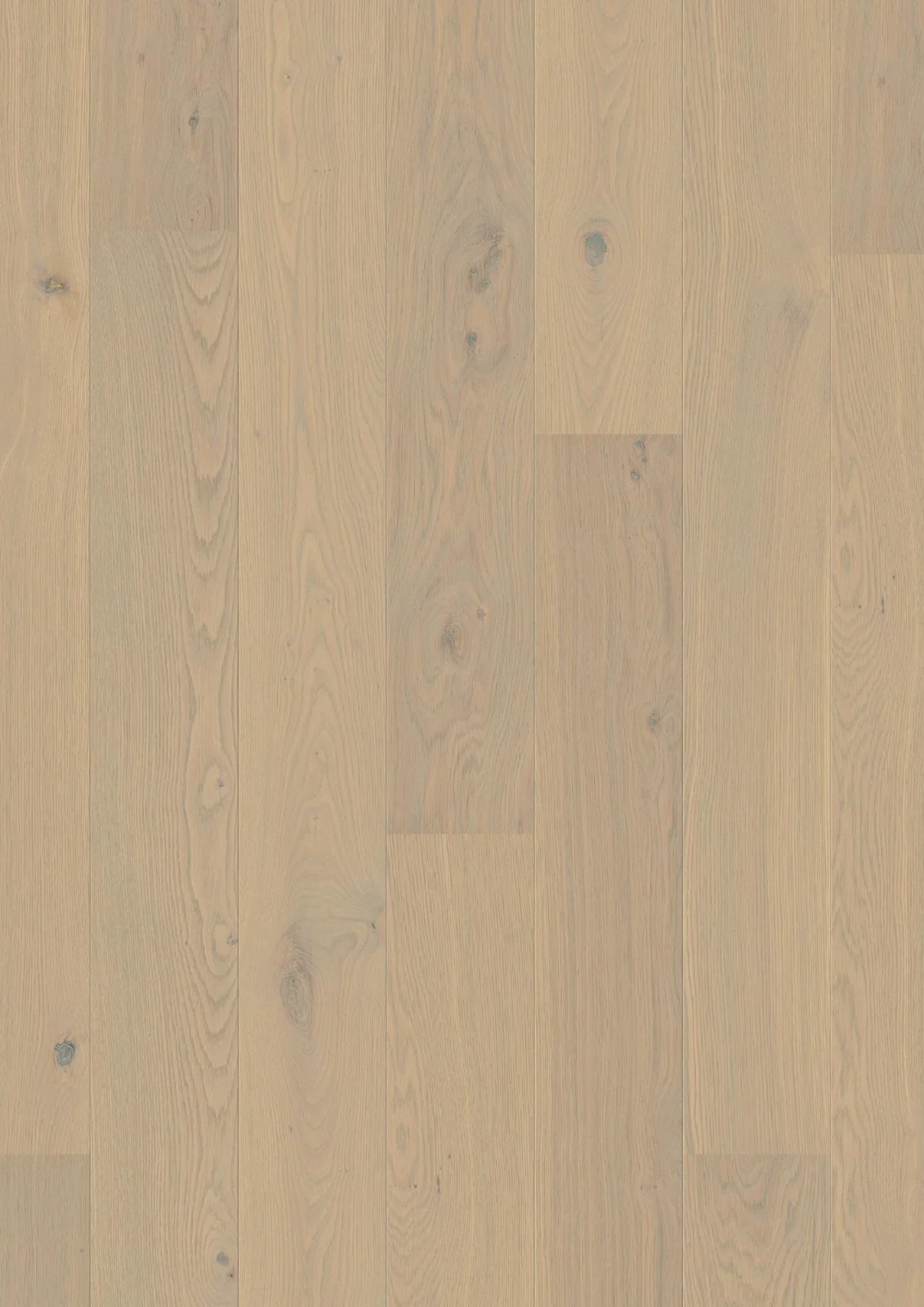 Oak Warm Cotton Animoso, 13.2mm Plank 181