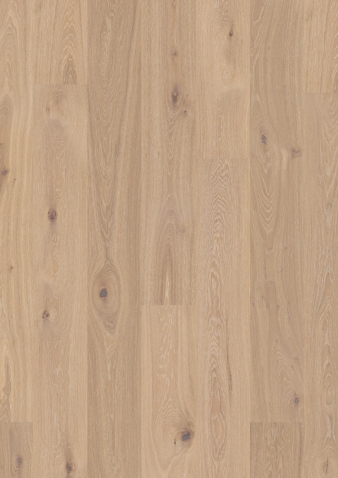 Oak Coral Animoso, 13.2mm Plank 181