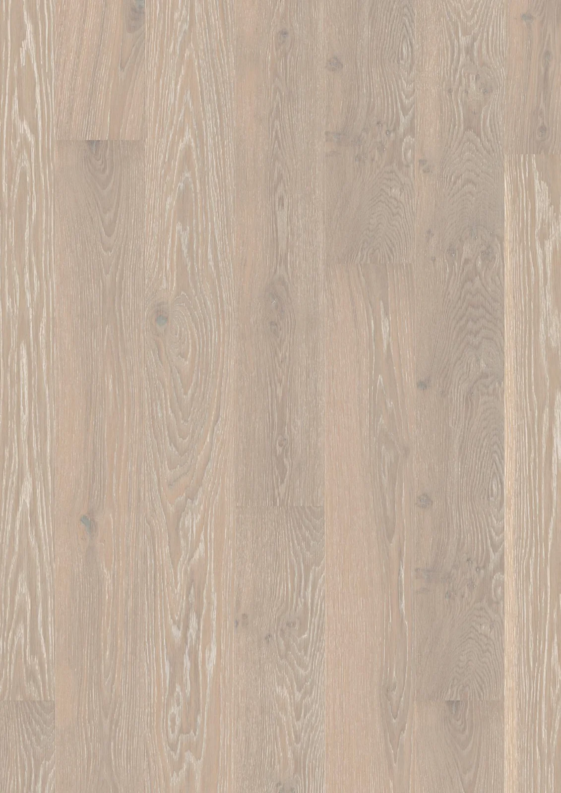 Oak Grey Harmony Animoso, 13.2mm Plank 181