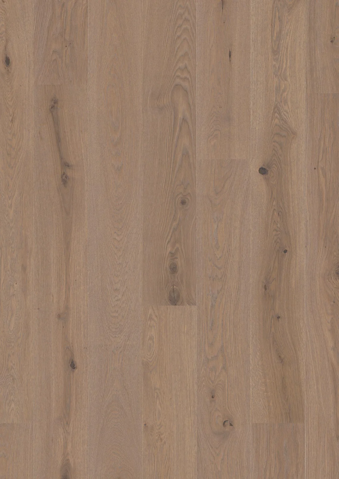 Oak Sand Animoso, 13.2mm Plank 181
