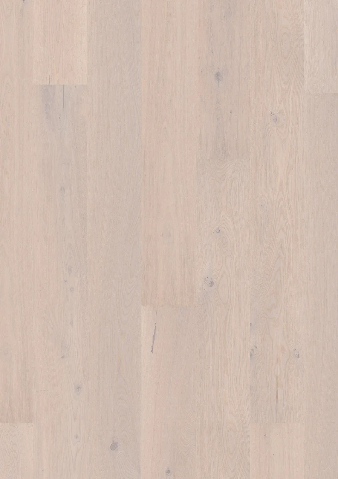 Oak Pearl Animoso, 13.2mm Plank 181