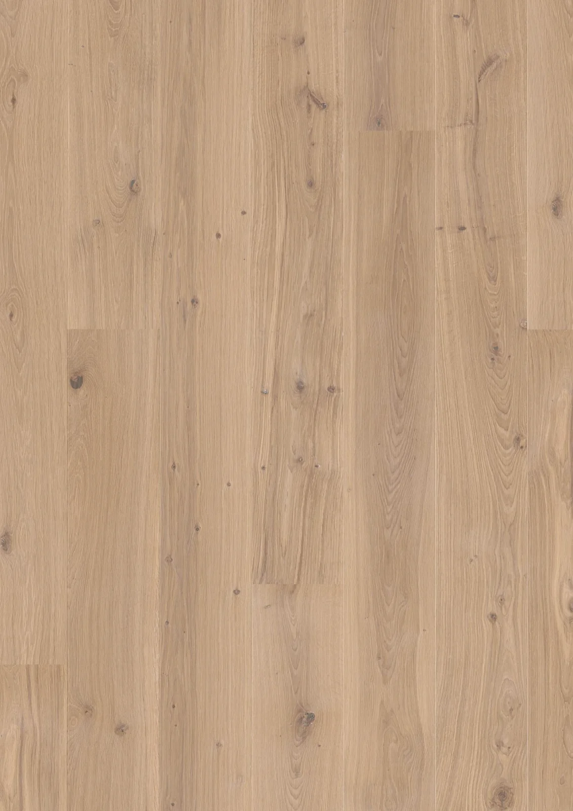 Oak White Animoso, 13.2mm Plank 181