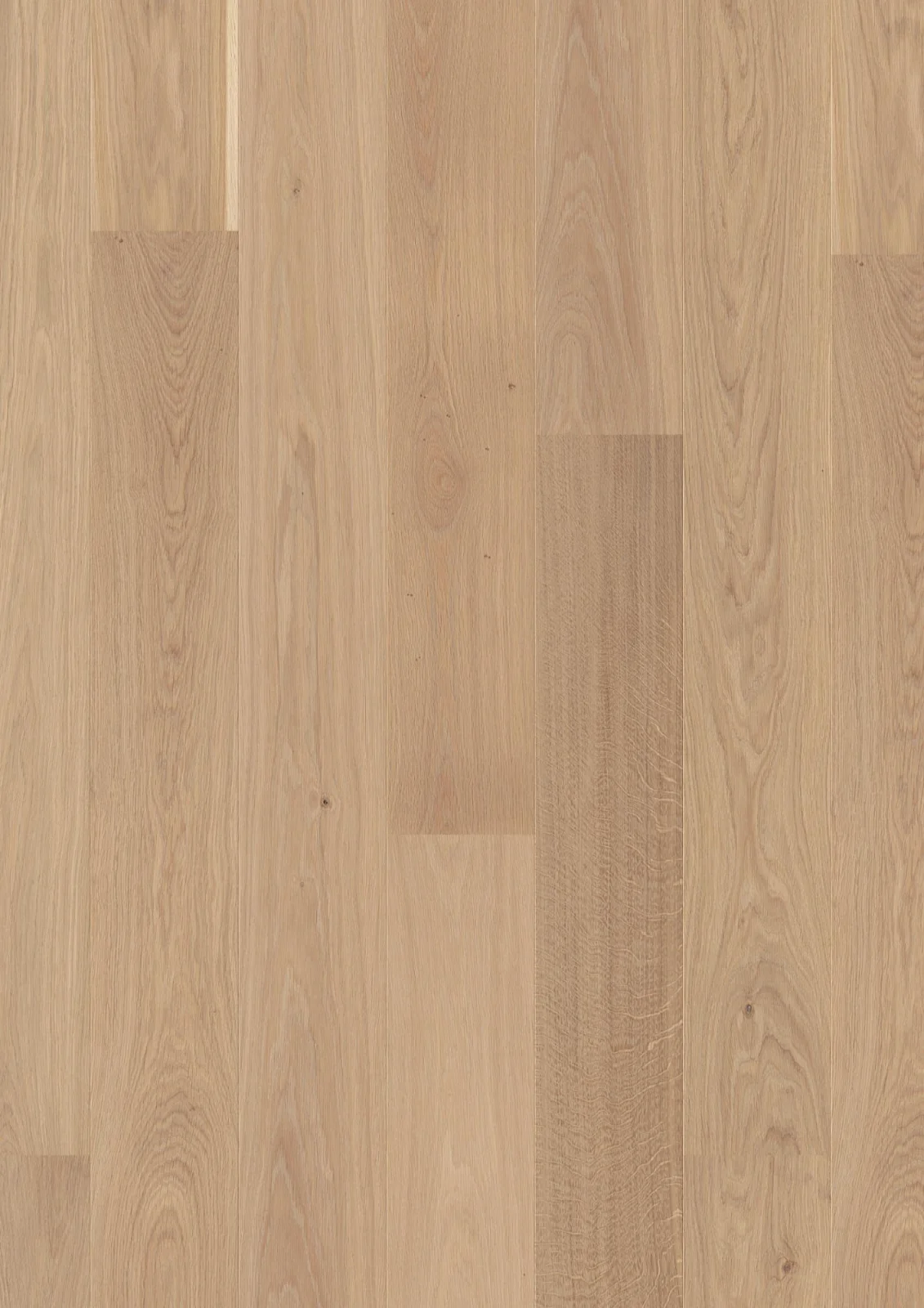 Oak Andante, Live Pure, 13.2mm Plank 181
