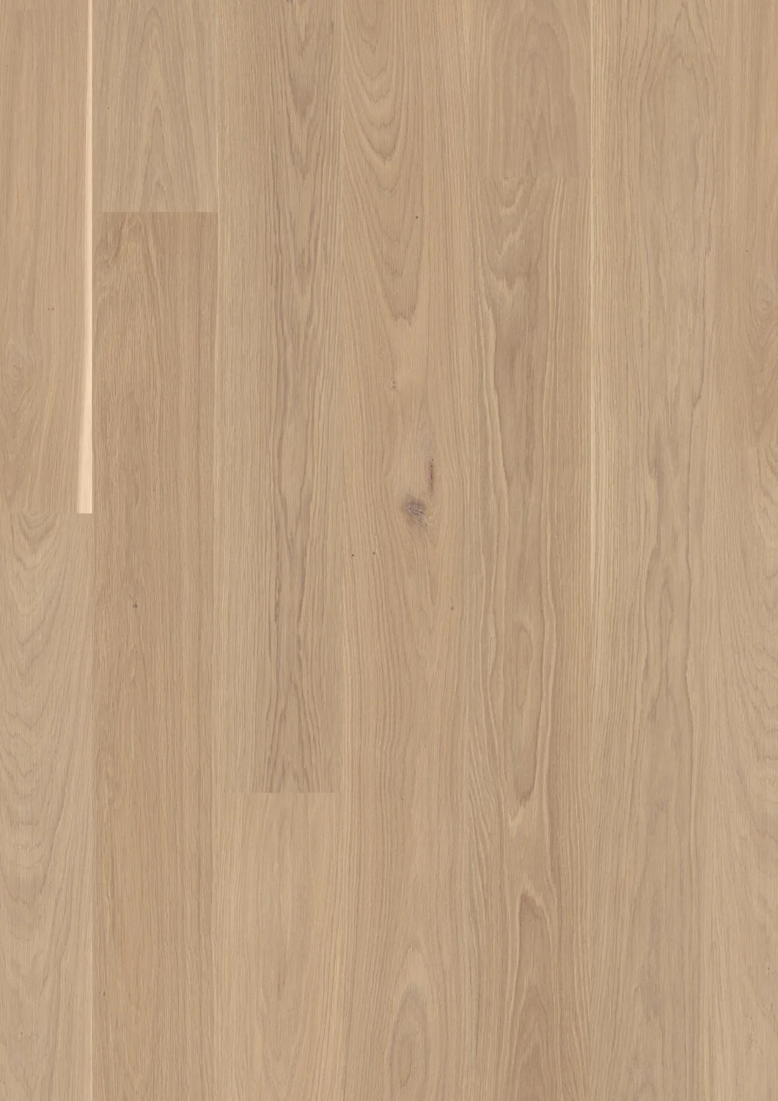 Oak White Andante, 13.2mm Plank 181