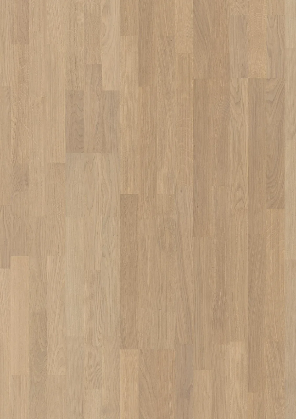 Oak Andante, Live Pure, 13.2mm 3-Strip