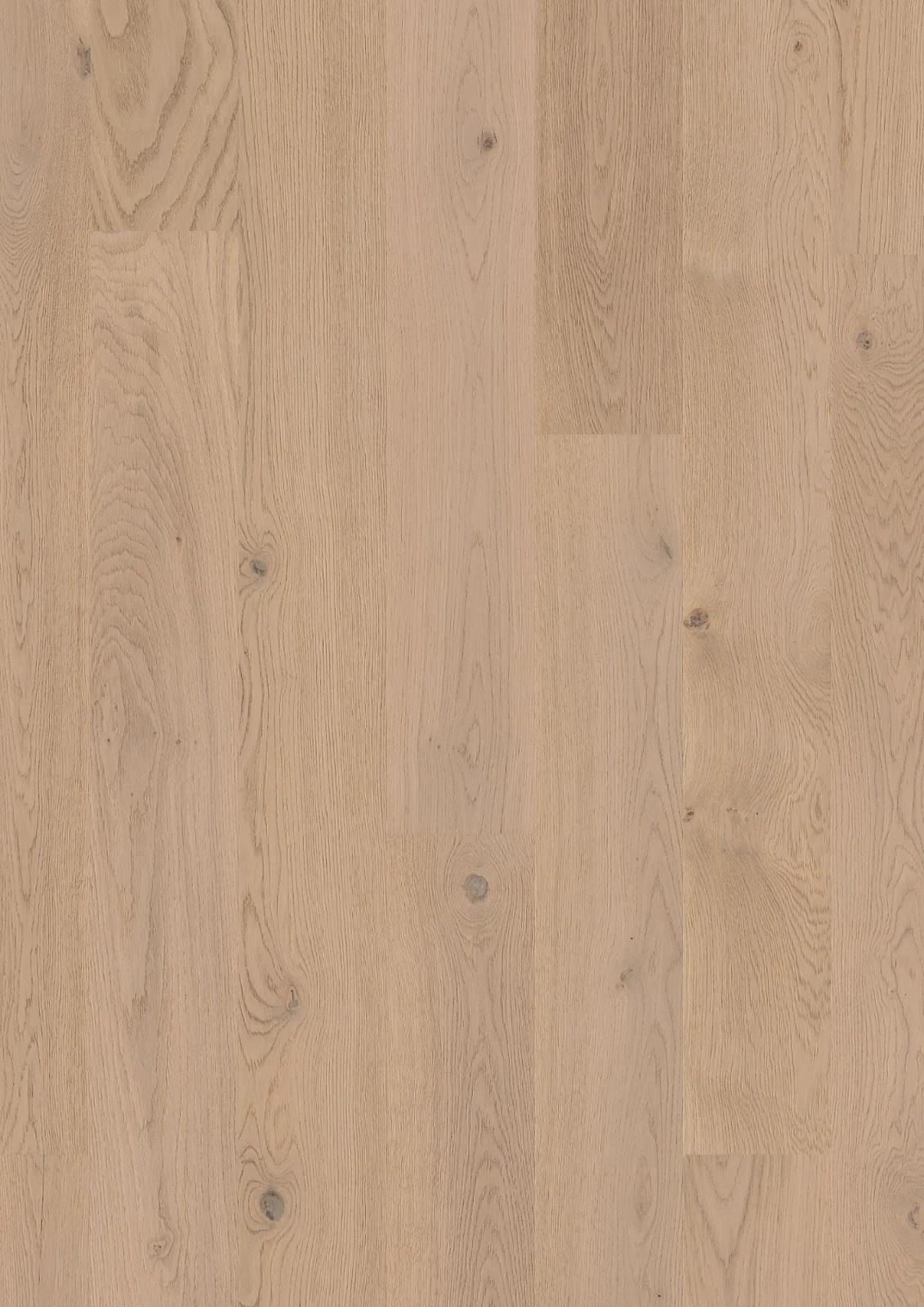 Oak Fresh White Animoso Mix, 13.2mm Plank 181