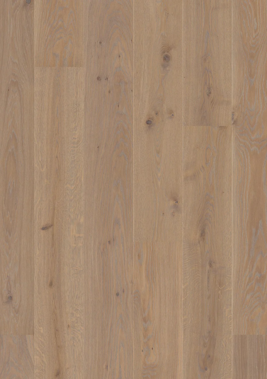 Oak Warm Grey Animoso, 14mm Castle Plank