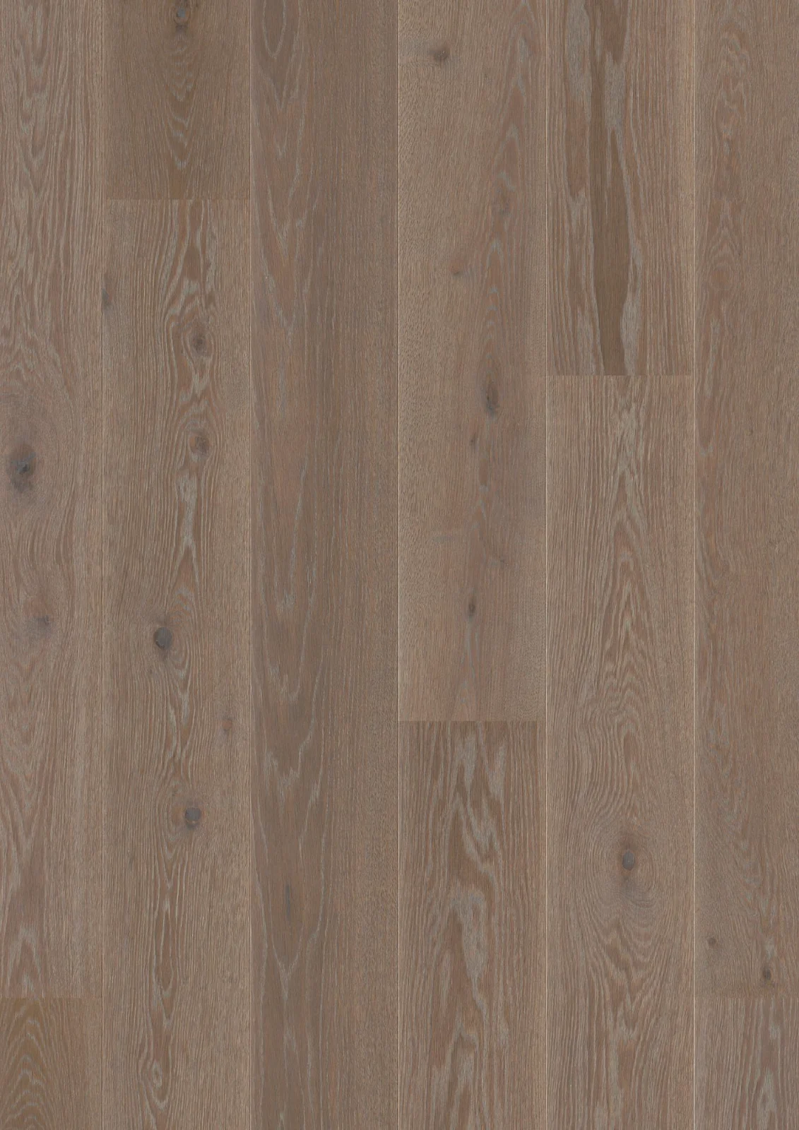 Oak India Grey Animoso, 14mm Castle Plank