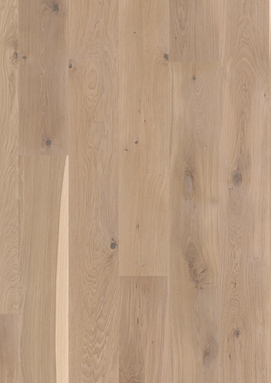 Oak White Vivo, 14mm Castle Plank