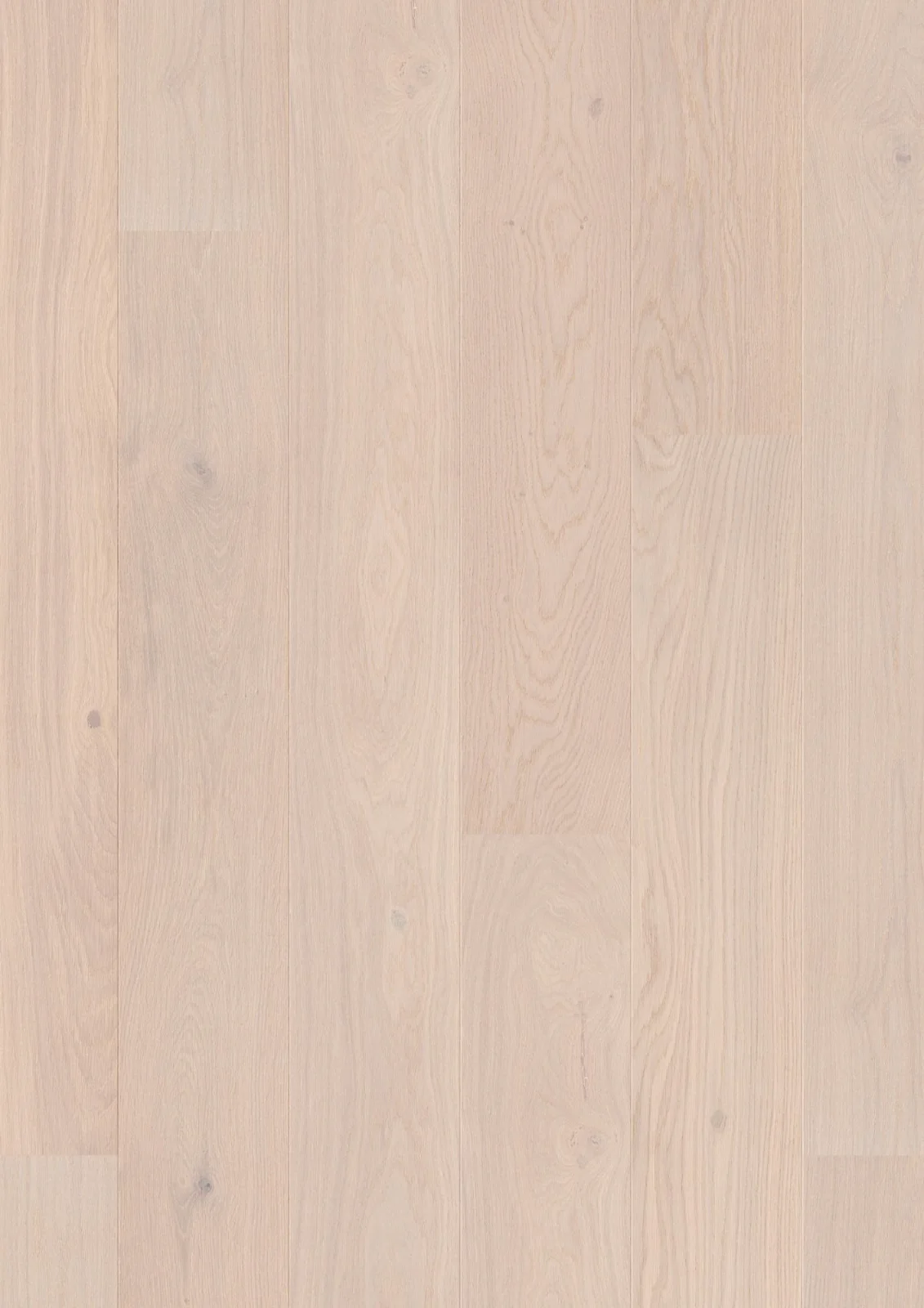 Oak Pearl Animoso, 14mm Castle Plank