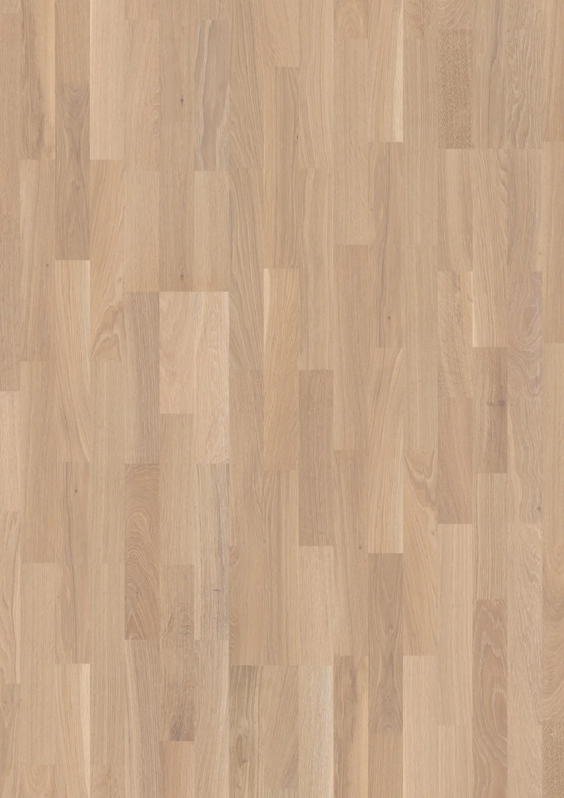 Oak Coral Finale, 14mm 3-Strip